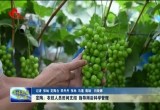定陶：农技人员田间支招 指导雨后科学管理农作物