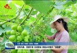 定陶区马集镇：党建引领 区域联动 赋能乡村振兴“加速度”