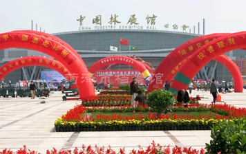 【菏泽·城市记忆】菏泽城区老照片之一