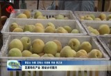 菏泽：发展特色产业 推动乡村振兴