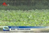 【省级环保督察进行时】菏泽鲁西新区：打造水清岸绿生态宜居环境
