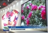 省政协副主席林峰海来菏调研