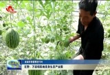 【省级环保督察进行时】巨野：万亩塌陷地变身生态产业园