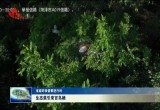 【省级环保督察进行时】生态美引来百鸟栖