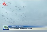 【学习贯彻党的二十届三中全会精神】筑牢生态文明根基 谱写美丽中国建设新篇章