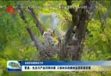 【省级环保督察进行时】曹县：生态与产业同频共振 三级林长助推林业高质量发展
