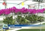 民盟河南省委会来菏调研