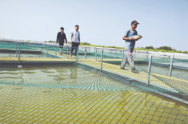 东明县：大河奔涌描绘生态发展新图景 