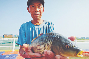 东明县：人放天养，黄河滩鲤鱼“跃龙门”