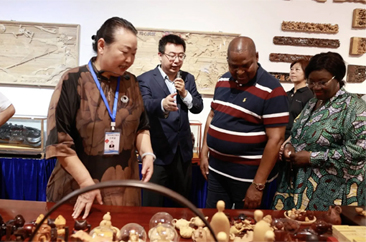  中非共和国总统图瓦德拉来菏访问考察 