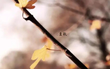 2024立秋是公秋还是母秋