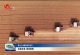 【第七个中国农民丰收节】共话丰收 同享喜悦