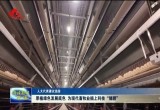 菏泽市人大代表曹翠英：厚植绿色发展底色 为现代畜牧业插上科技“翅膀”