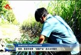 【推动黄河流域生态保护和高质量发展】菏泽：喜迎丰收季 “甜蜜产业”助力乡村振兴
