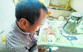 陆国强：蛋壳上耍刻刀