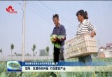 定陶：发展特色种植 打造富民产业