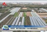 菏泽鲁西新区：探索“生态 产业 旅游”新模式 打造乡村振兴示范片区