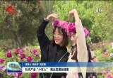 【强信心 稳经济 促发展】牡丹产业“小巨人” 跑出发展加速度
