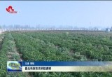 聂元科到市农科院调研