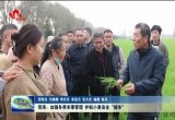 菏泽：加强冬季农事管理 护航小麦安全“越冬”