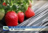 菏泽：采摘农业助力乡村振兴