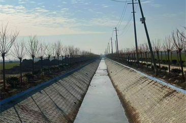  东明县三个“聚焦”保障高标准农田建设高质量 