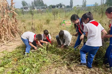 菏泽鲁西新区佃户屯街道多措并举弘扬传承农耕文化