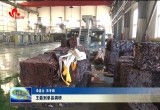 菏泽市人大常委会主任王磊到单县调研