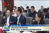 王磊参加定陶区代表团审议时强调：稳扎稳打 苦干实干 奋力推动经济社会发展再攀新高再创佳绩