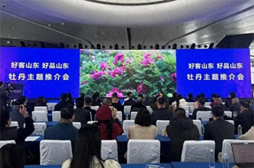  绽放《国色芳华》，背后是菏泽牡丹的无限荣光 