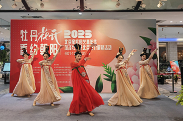  “牡丹花开 香约朝阳”菏泽牡丹亮相北京城 