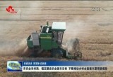 菏泽市农业农村局：锚定建设农业强市目标 不断推动乡村全面振兴取得新成效