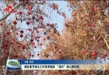 菏泽城区春节亮化工作有序推进 “亮灯”进入倒计时