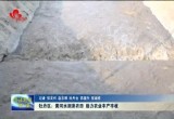 牡丹区：黄河水润泽农田 助力农业丰产丰收