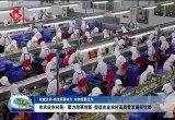 菏泽市农业农村局：聚力改革创新 塑造农业农村高质量发展新优势