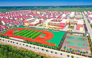 黄河岸边的美丽蝶变