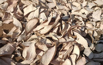 三袋红薯干的故事