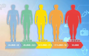 减肥指南来了！权威食谱，细化到地区，全是干货
