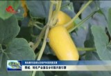 鄄城：特色产业激活乡村振兴新引擎