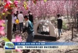 牡丹区：万亩海棠绘就春日盛景 催动文旅消费活力