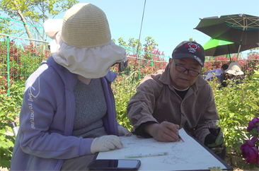  巨野县：牡丹花绽放 画师写生忙 