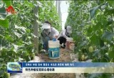 菏泽市各地立足当地农业资源优势 大力发展特色种植产业