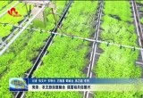 菏泽：农文旅深度融合 谋富裕共促振兴