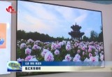 全国政协常委、农工党中央副主席焦红来菏泽调研