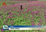 菏泽市政府新闻办组织召开“华裳芍韵 菏泽有约”新闻发布会
