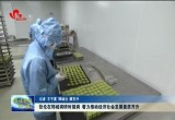 张伦在郓城调研时强调：着力推动经济社会发展量质齐升