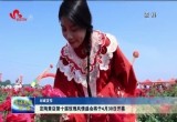 定陶黄店第十届玫瑰风情盛会将于4月30日开幕