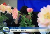 菏泽鲁西新区：芍药鲜切花 开出“花样经济”