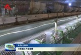 王军到牡丹区调研