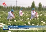 【推动黄河流域生态保护和高质量发展】科技创新赋能增力 让牡丹产业枝繁叶茂